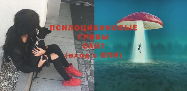 ALPHA-PVP Зеленокумск