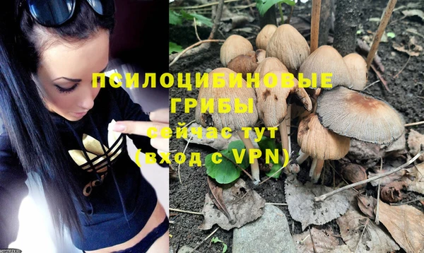 экстази Зерноград