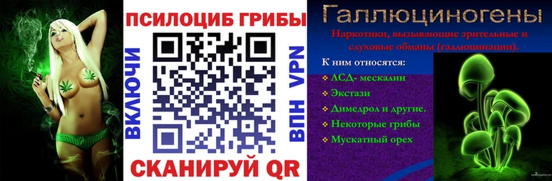 Галлюциногенные грибы прущие грибы  Купить  Бикин 