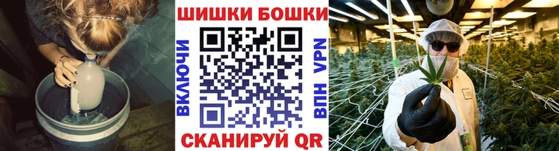 Купить закладки  Бикин  Канабис гибрид 